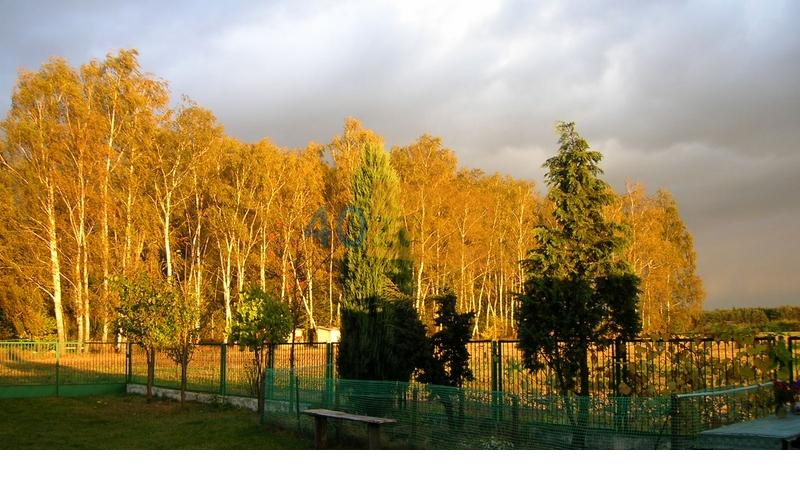 Dom na sprzedaż100 m2