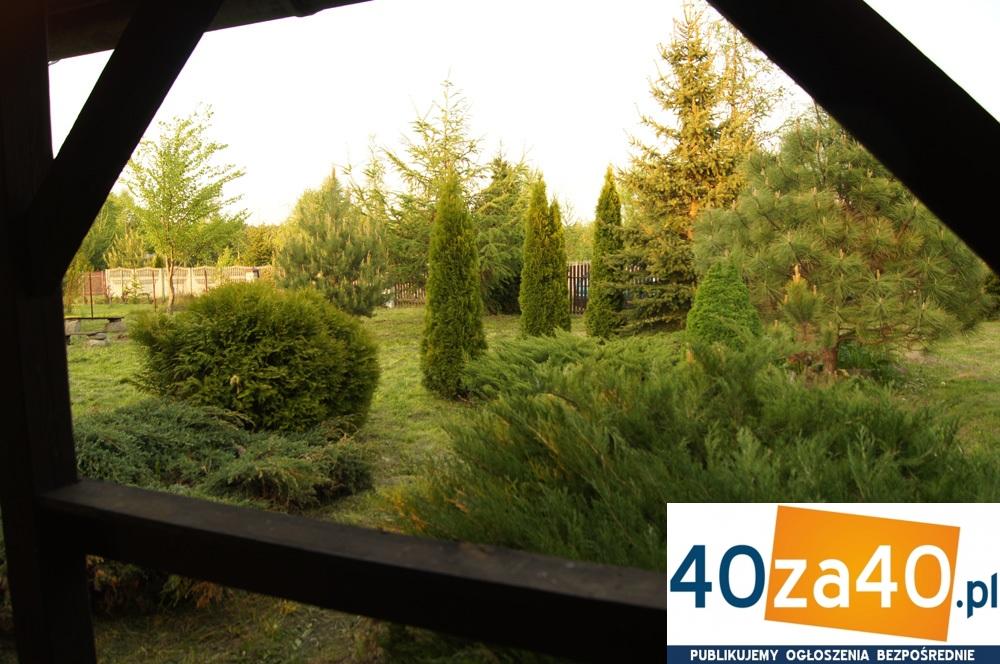 Działka na sprzedaż1000 m2