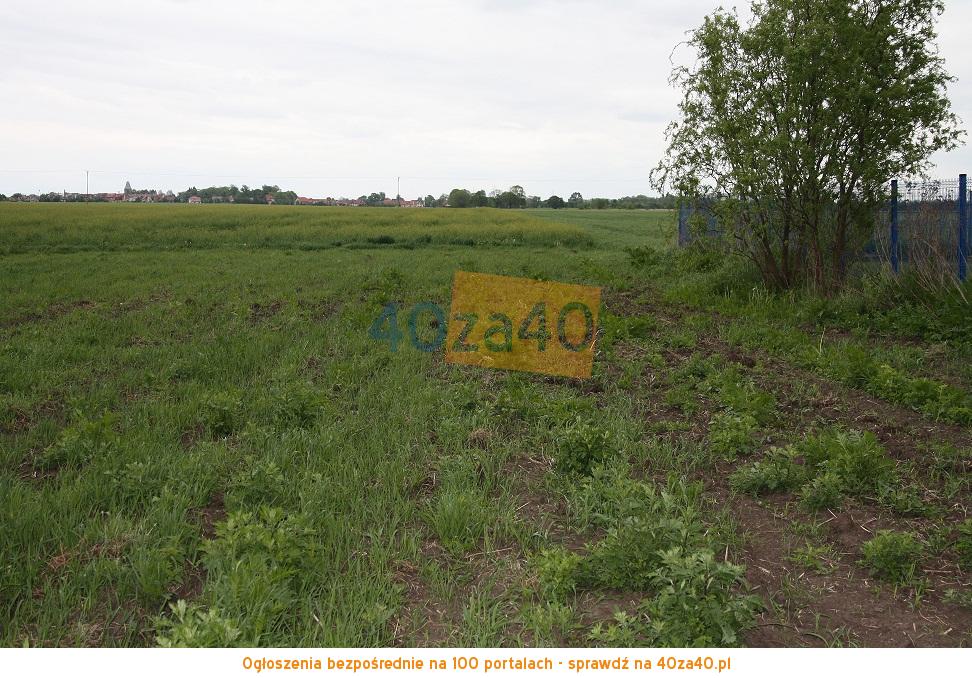 Działka na sprzedaż1000 m2