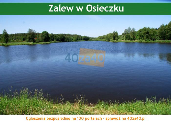 Działka na sprzedaż1000 m2