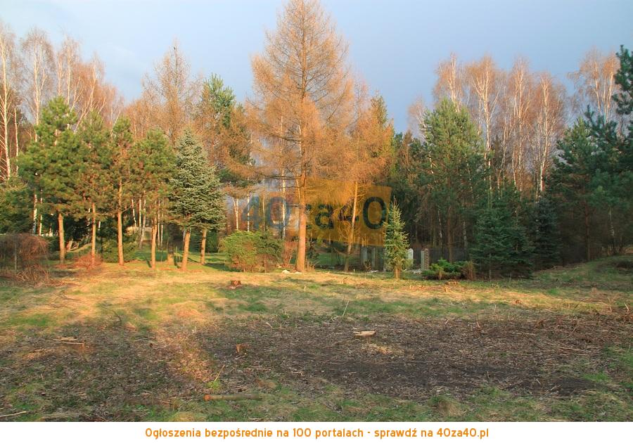 Działka na sprzedaż13000 m2