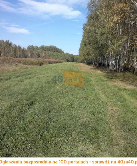 Działka na sprzedaż17800 m2