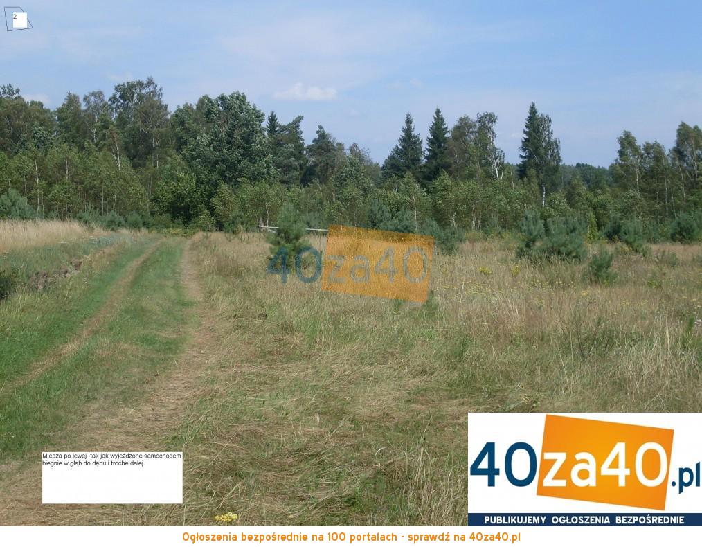 Działka na sprzedaż20000 m2