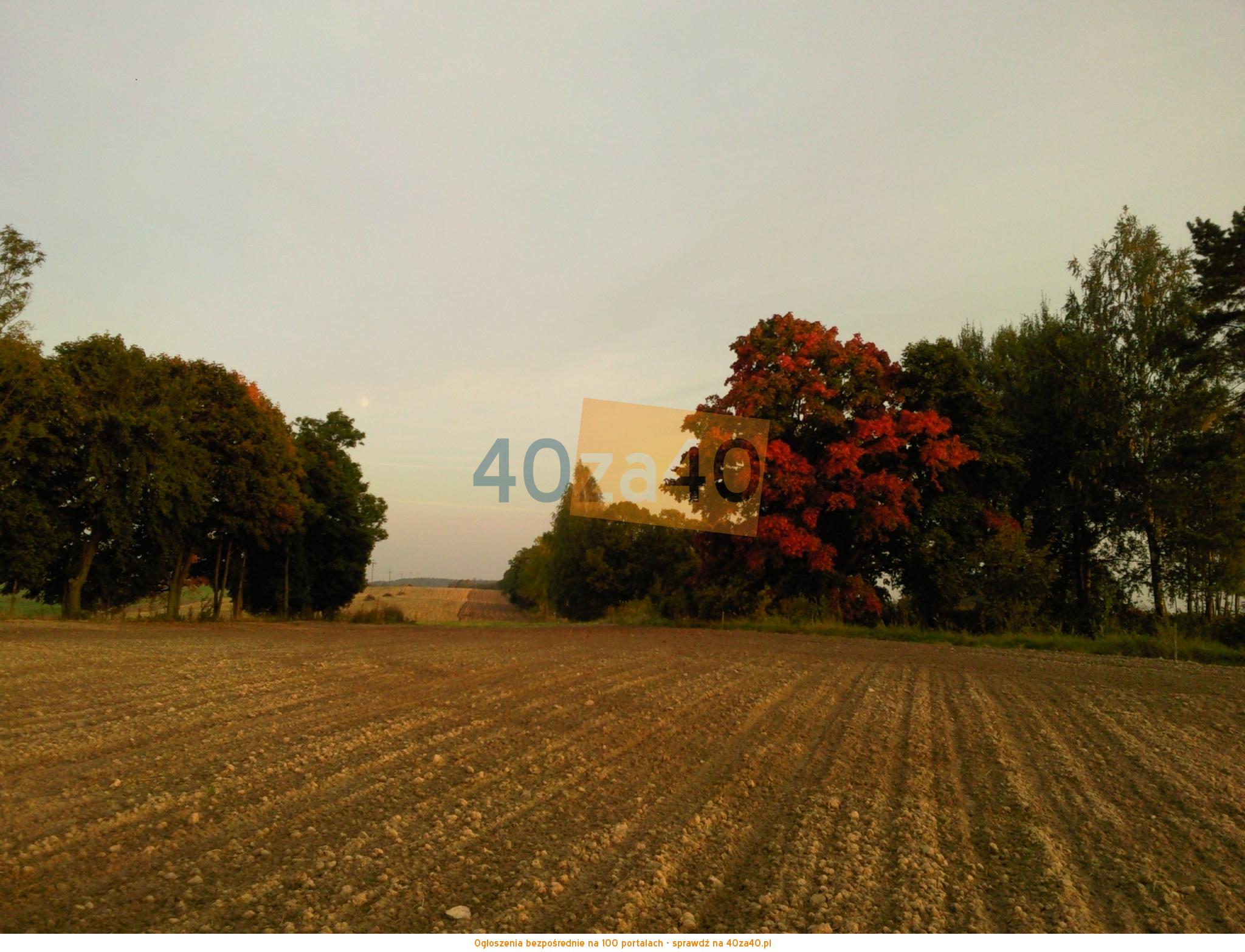 Działka na sprzedaż3001 m2