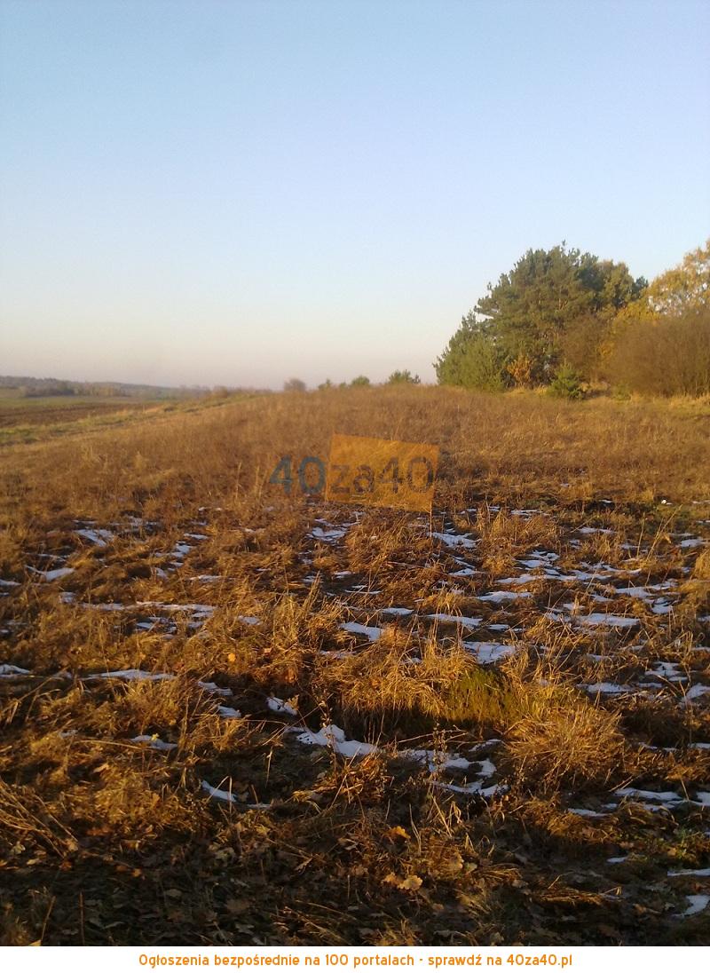 Działka na sprzedaż6000 m2