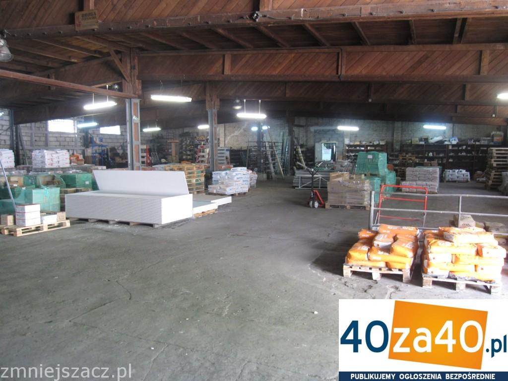 Lokal do wynajęcia450 m2