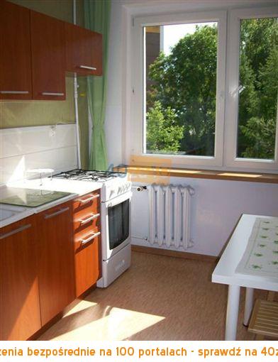 Mieszkanie do wynajęcia53 m2