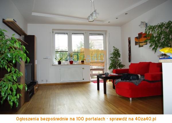 Mieszkanie do wynajęcia49 m2