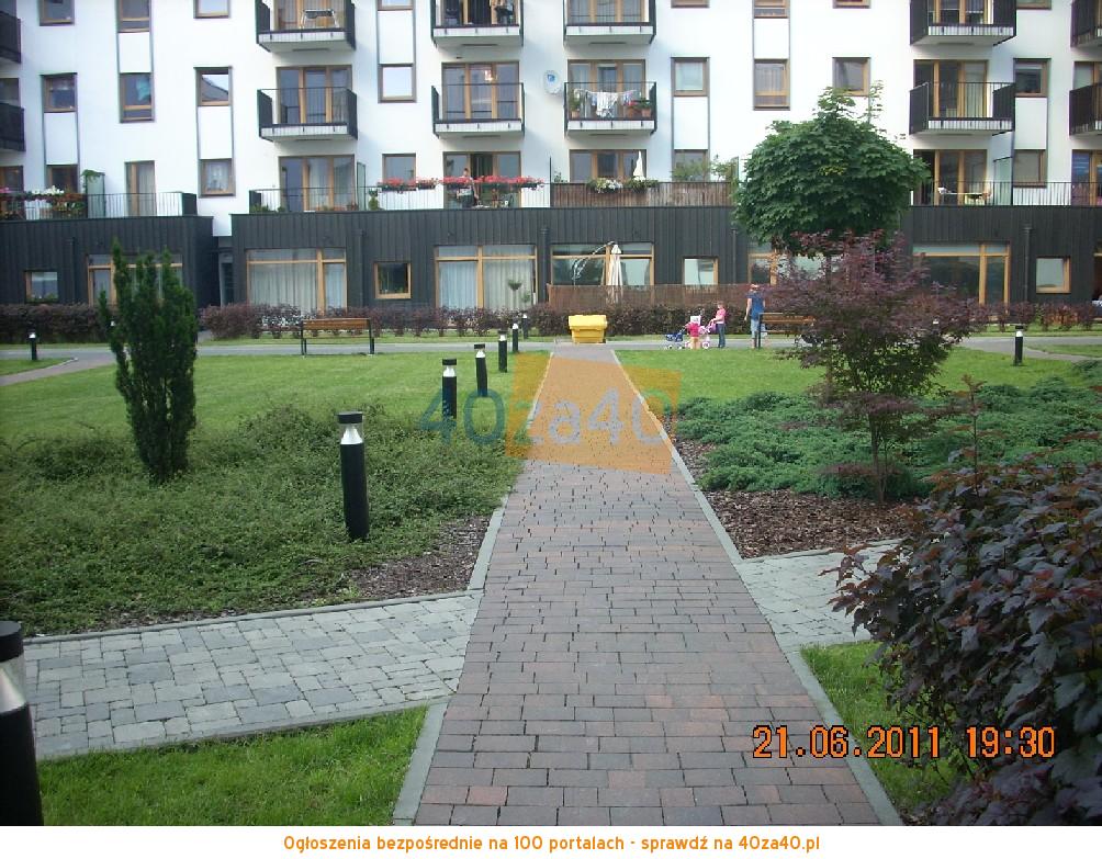Mieszkanie do wynajęcia50 m2