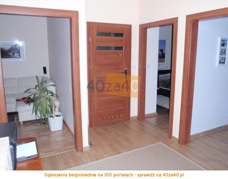 Mieszkanie do wynajęcia53 m2