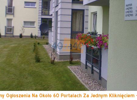 Mieszkanie do wynajęcia51 m2