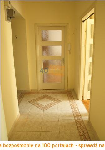 Mieszkanie do wynajęcia56 m2