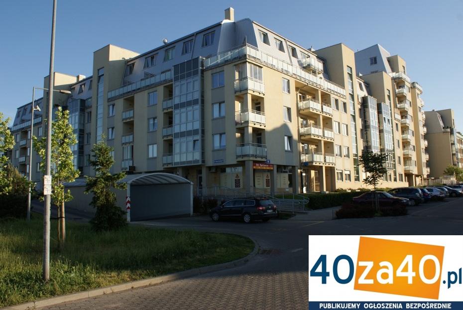 Mieszkanie do wynajęcia82 m2