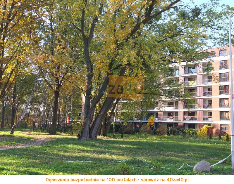 Mieszkanie na sprzedaż84 m2